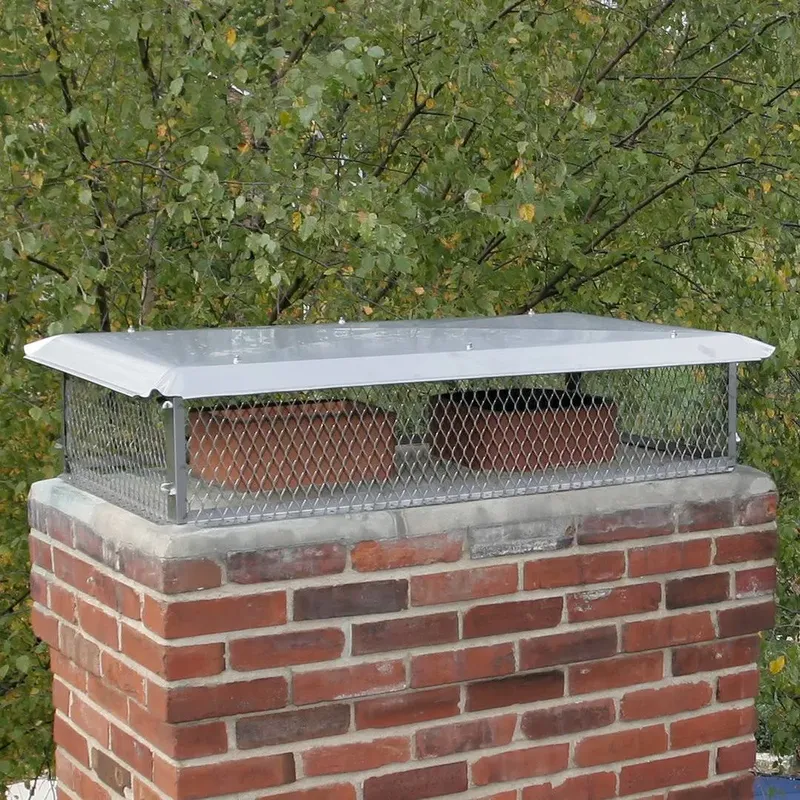 Stainless steel mesh cap over two clay flues on a brick chimney